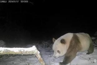 雷竞技苹果